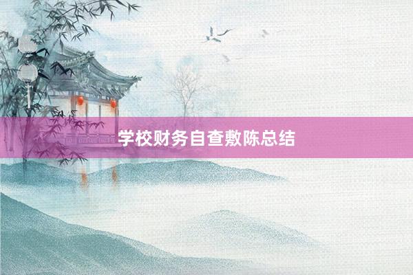 学校财务自查敷陈总结