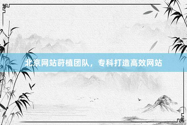 北京网站莳植团队，专科打造高效网站