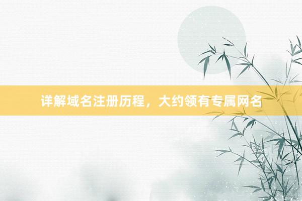 详解域名注册历程，大约领有专属网名